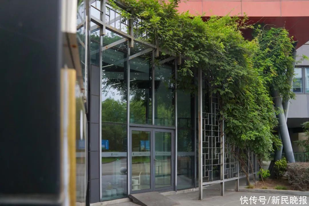 凉爽与降耗，两个都要！上海城市建筑“度夏”如何“斤斤计较”