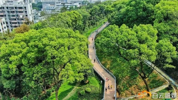  空中步道|快来！官方邀你为“云道”起名啦！