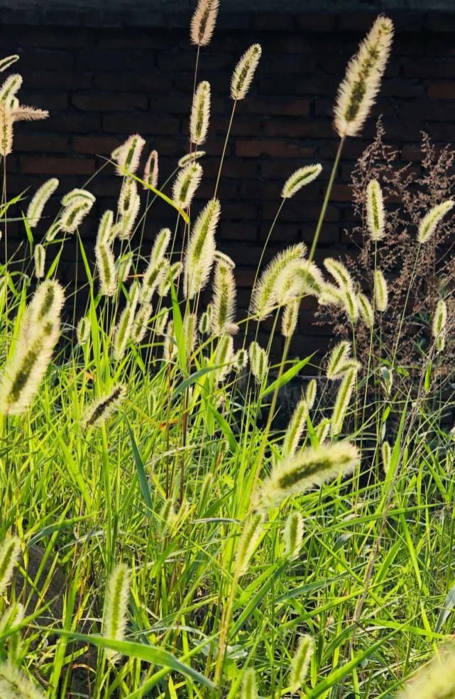 何必|何必远行~这里的湖光山色惹人醉！