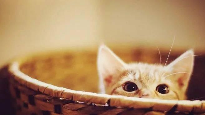 生活|12条搞笑段子，给生活减减压……