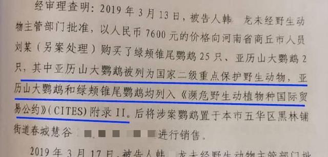  只癞蛤蟆|大学生卖2只鹦鹉获刑6年 这个判决合理吗?