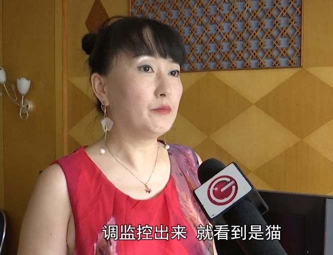  监控|又来！！这次坠下“活的”！业主调监控一看，更生气.....