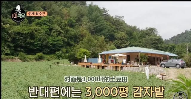  今夏|开播9.6，今夏续命就看它了