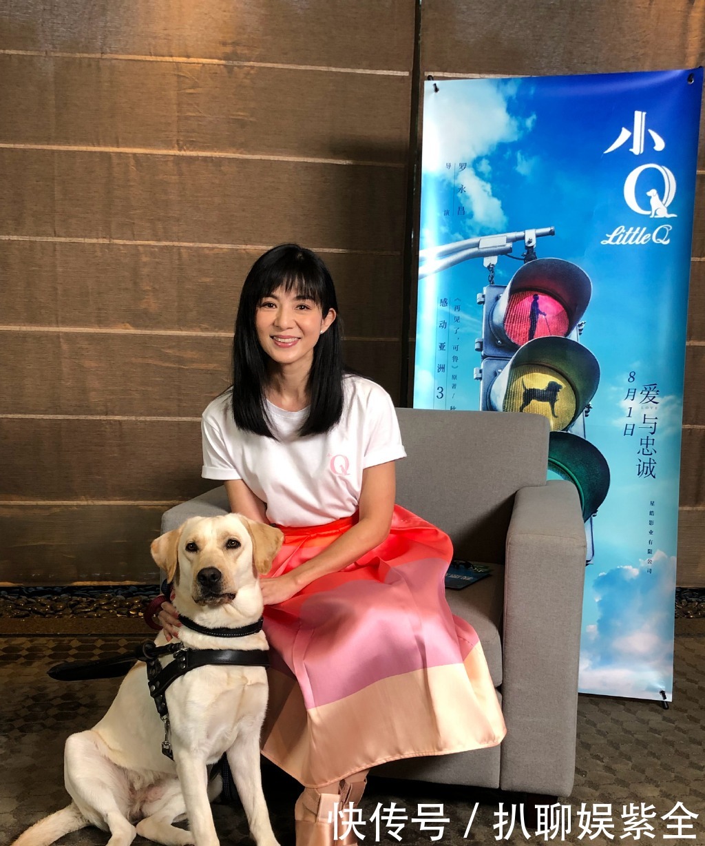  迟暮|美人不迟暮！杨采妮的图集