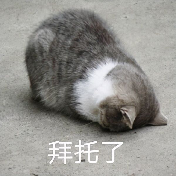  发布|华为Mate40真机现身！你们等了1年的手机，就长这样