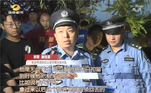 公园|长沙养犬的注意了！延长整治行动两个月，不戴嘴套、遛狗不牵绳…无证养犬直接扣留