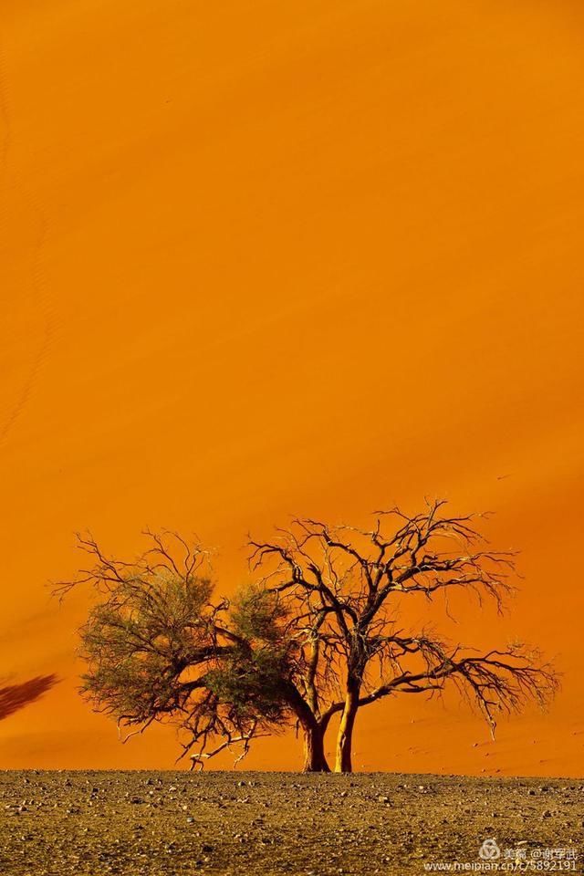  最美|最美的红沙漠与死亡谷—惊艳·纳米比亚