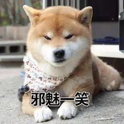  小姐姐|40多位“小姐姐”被抓，现场辣眼！网友：扎心了......