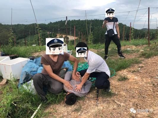 民警|躲小蛇、避坟头、喂蚊子、吃野果……民警蹲点深山捣毁一重大贩毒团伙!