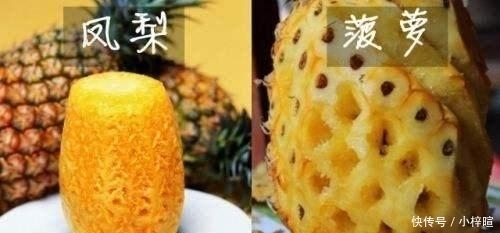 美食|美食界里的“双胞胎”, 即使是常吃的人, 也经常叫错名字闹出笑话