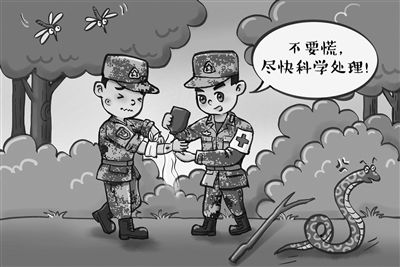  应对|怎样应对蛇虫咬伤