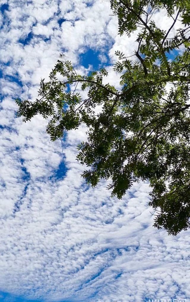 青岛|好好珍惜今天的“青岛蓝”吧，过几天雨又要来了！