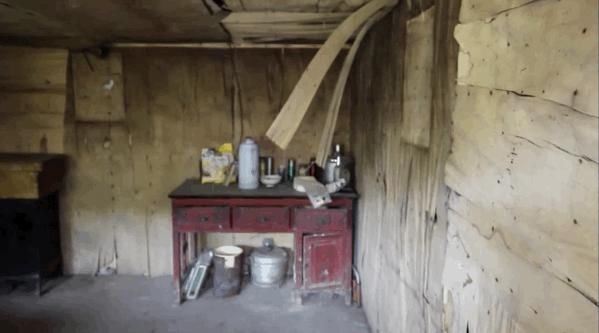  李子|她用3年时间爆改老宅，把荒地变花海：原来除了李子柒，我们还有另一种田园牧歌