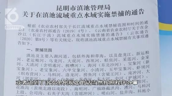 业行政执法|直播偷钓口出狂言：“我在滇池横着走，滇管局来也不怕！”滇管局真的就来了