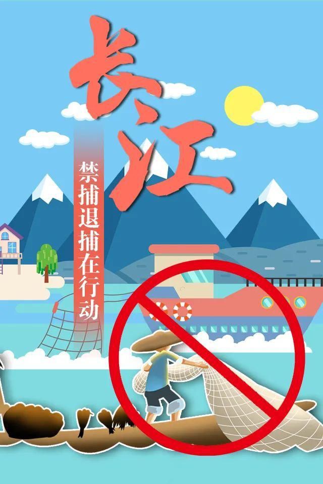 非法捕捞|黄梅事 | 还敢捕？抓！