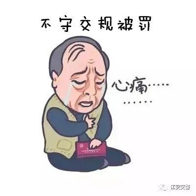 任性|你“任性”停车，交警“猛拍”贴单