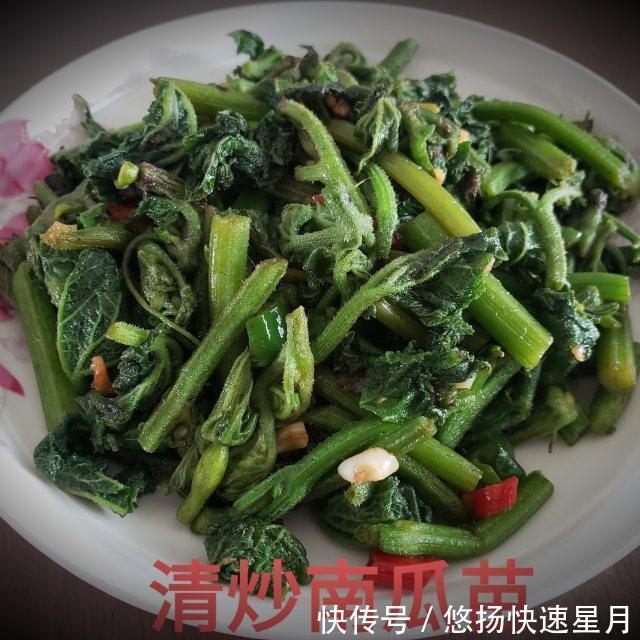 清炒|清炒南瓜苗,清脆爽口的农家菜