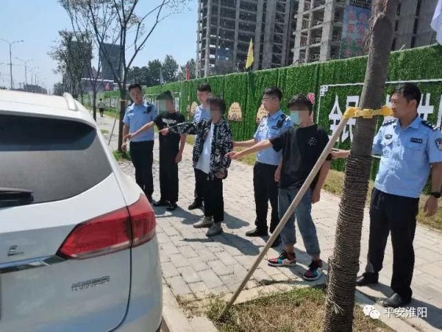 嫌疑人|淮阳公安：淮阳区公安局侦破系列砸车玻璃案，抓获三名嫌疑人！