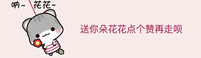 烟花|放烟花给女朋友庆生，结果半个县城都听到了……网友：靠谱点行吗