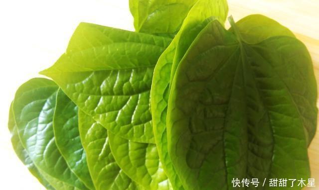  回味无穷|这道菜是用乡下的天然香料做的，让人回味无穷