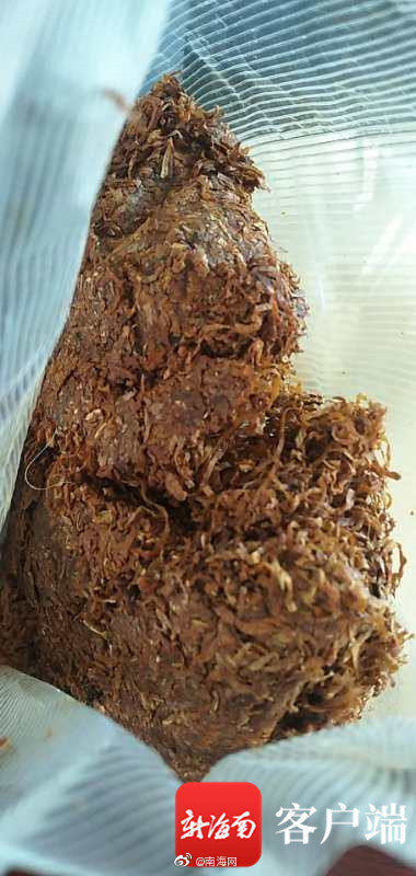 出动|新型毒品“茶树菇”、K3现身三亚!警方出动抓捕……