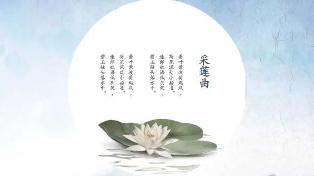  淡雅|淡雅荷花中国文化传统国学PPT模板
