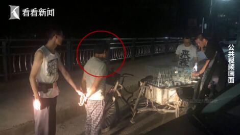只为|58岁男子夜盗百余只家禽 只为讨女友欢心
