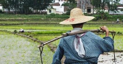 农村地区|农民夫妻之间聚少离多，为什么离婚率却很低？男人的回答很现实！