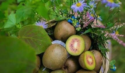  血栓|人血管怕堵，餐桌上4种食物，常吃预防血栓