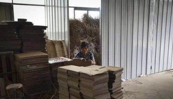  河南|河南农村老太糊纸盒1天为儿挣20元手术费，害怕白发人送黑发人