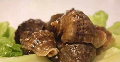 赶紧|海螺尾部的“黄”到底能不能吃好多人都不知道,赶紧看看吧!