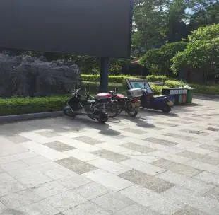 理应|【创文进行时】不回避,不遮丑!这些不文明现象理应整改