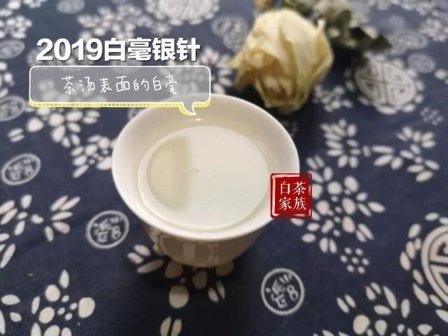  季节|秋天喝白茶指南：白毫银针和白牡丹，适合现在的季节喝吗？