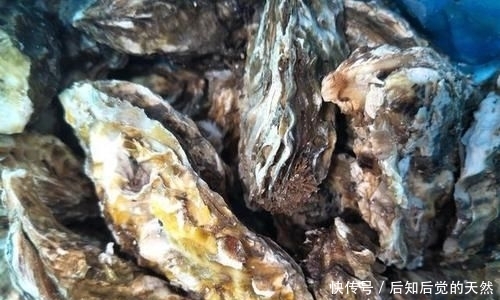 诱惑|美食诱惑,蒸生蚝,冷水下锅还是热水下锅,蒸几分钟?做好了鲜美好吃