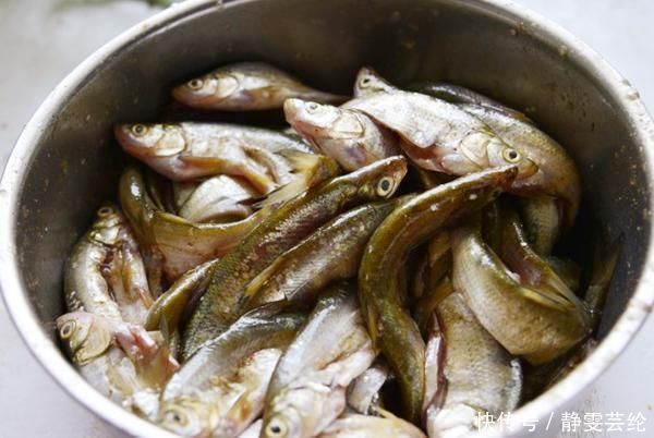 香脆|炸鱼,有人用面粉,有人用淀粉,都错了,大厨用它,香脆沒腥味