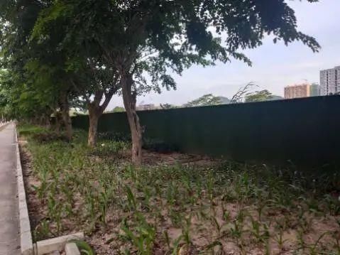 火炬|【创文进行时】这些不文明行为，让火炬区很“受伤”