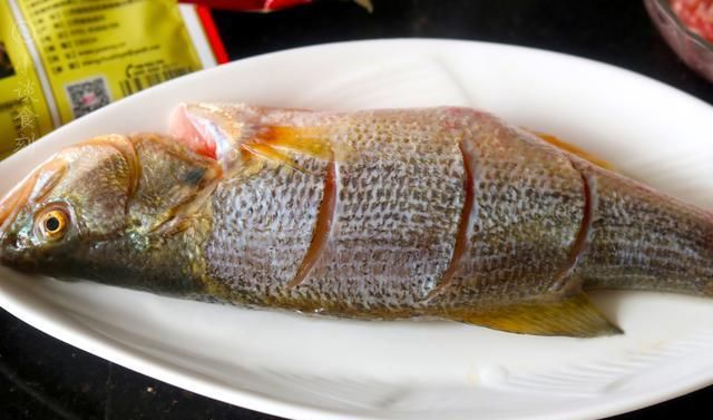  鲜嫩|秋天贴秋膘，号称“水中珍品”的肉要吃，肉质鲜嫩，老少皆宜