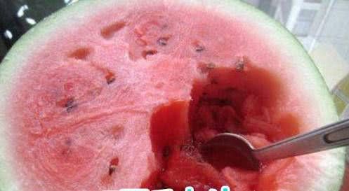 理科生|不同专业吃西瓜，理科生普通，文科生讲究，美术生