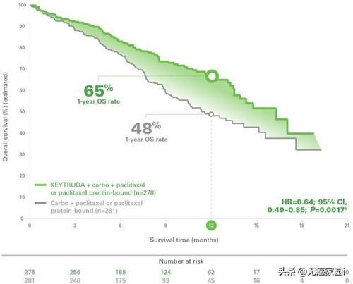 四大|肺癌四大PD-1/L1究竟如何选？K药、O药、T药、I药用药最新汇总！