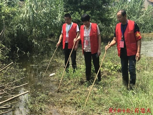 鼓泡泡|武惠堤上有个“土”专家团，闲时忙农活汛期上堤防