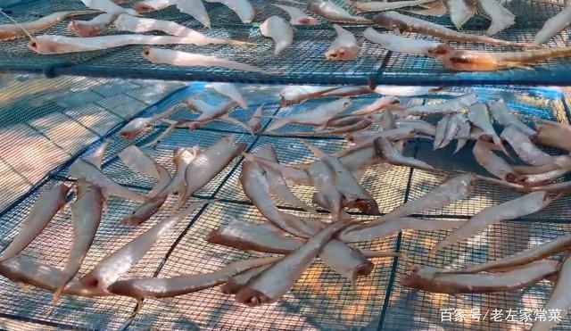 详细|最受欢迎的腌鱼干,从腌制到洗再到储存,讲解详细,比买的还好吃