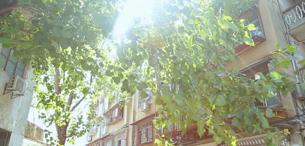 炸酱面|幸福小区里好吃的面馆,不是你想的那一家哦