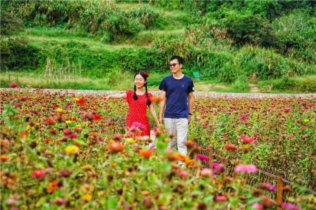  蔚蓝|左岸蔚蓝，右岸烟火，我的浙江海岛慢时光，醉在嵊泗海风夕阳里