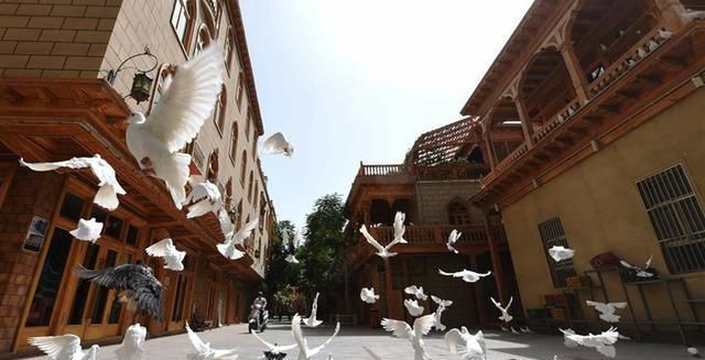 省份|为什么新疆成为了仅次于广东的，人口净流入第三大省？