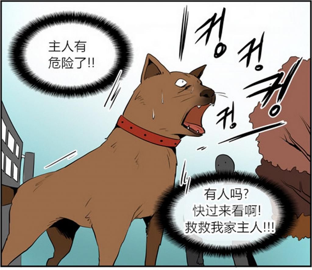  这次|搞笑一刻：宠物狗每次都能救下落难的男孩，但这次男孩一点也不感激