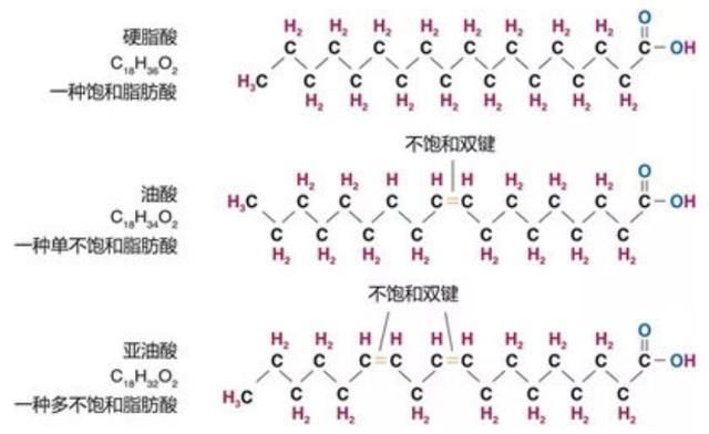  不饱和脂肪|哪种食用油最健康？| 117三人行