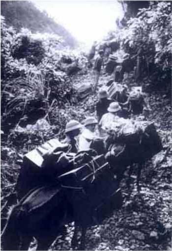 特工|越军特工嘴馋,化装我军潜入边境吃汽锅鸡,结果一锅端