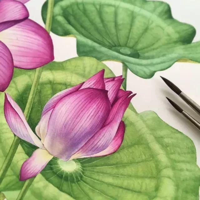  全职|一位全职妈妈喜欢疯狂画画，教你画水彩花卉