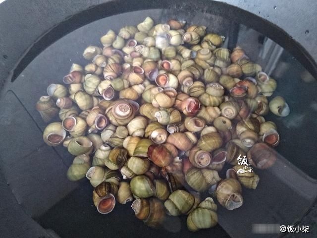 翻炒|炒田螺记得先焯水!厨师分享秘制做法,在家也能做出大排档的风味