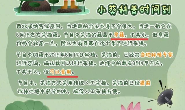 质疑|解气!《向往4》再被质疑作秀,官博直面舆论公开打脸